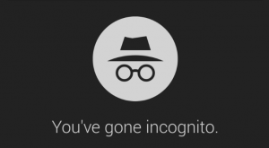 Incognito Browser