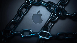 Apple Vulnerability
