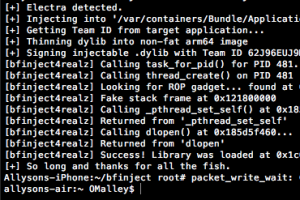 iOS Terminal Screenshot