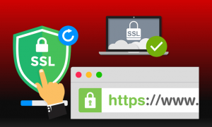 SSL Certificate