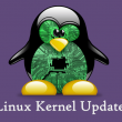 Linux Kernel Update