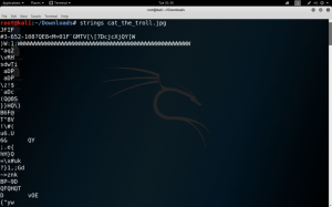Screenshot 2019 07 23 at 1.30.41 AM e1563867255222