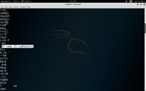 Screenshot 2019 07 23 at 1.30.50 AM e1563867298139