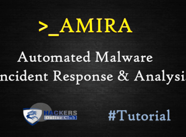 AMIRA Malware Analysis