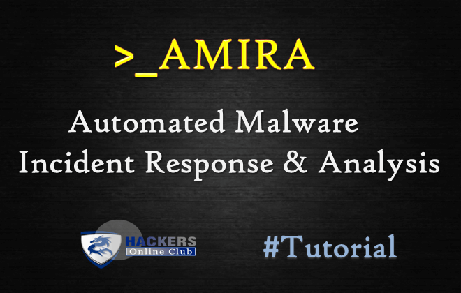 AMIRA Malware Analysis