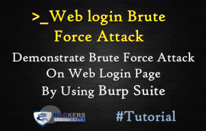 Burpsuite Demonstration Web Login
