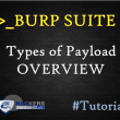 Burp Suite Payload Overview