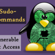 Linux Sudo Bug