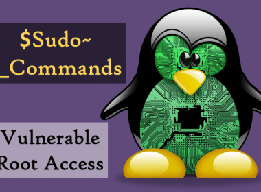 Linux Sudo Bug