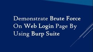 burpsuite payloads overview