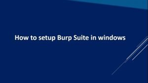burpsuite series payload process