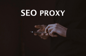 SEO Proxy