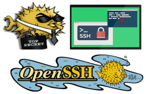 OpenSSH
