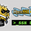 OpenSSH 8.3