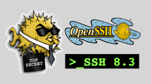 OpenSSH 8.3