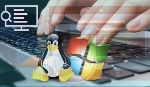 Microsoft Project Freta