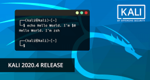 Kali Linux 2020.4