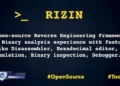 Rizin Reverse Engineering Framework