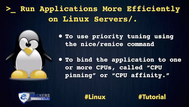 Applications on Linux Server