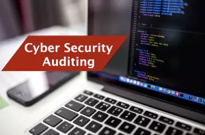 Cyber Security Audit