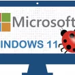 Windows 11 Bug