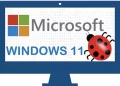 Windows 11 Bug