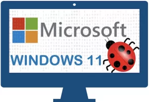 Windows 11 Bug