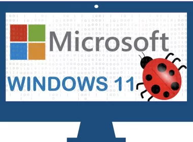 Windows 11 Bug