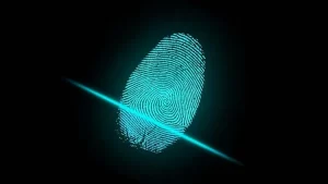 Identity Theft Check