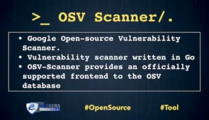 OSV Scanner