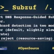 Subzuf DNS Response-Guided Subdomain Fuzzer