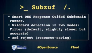Subzuf DNS Response-Guided Subdomain Fuzzer