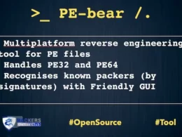 Pe-bear Reverse Engineering Software