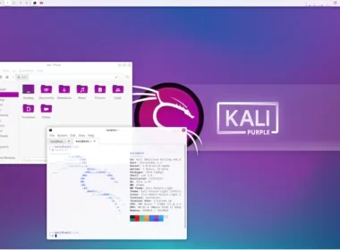 Kali Purple