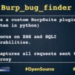 Burpsuite Automatic Plugin to Bug Finder