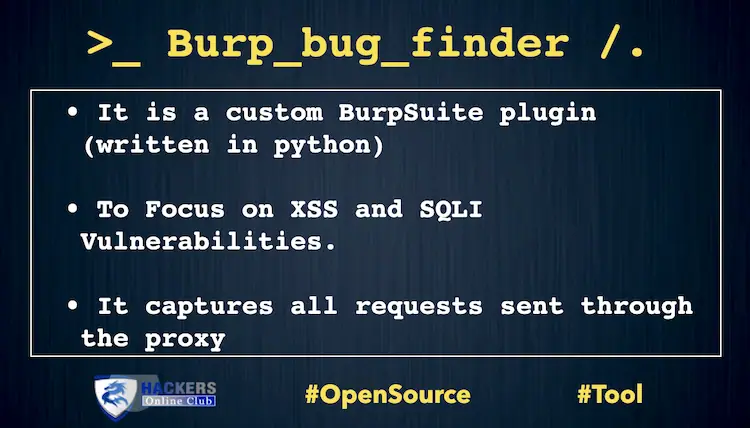 Burpsuite Automatic Plugin to Bug Finder