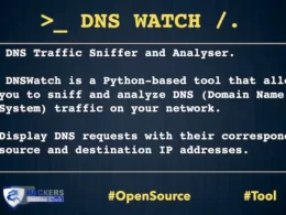 DNS Watch