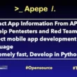 Apepe App Pentester