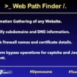 Web Path Finder