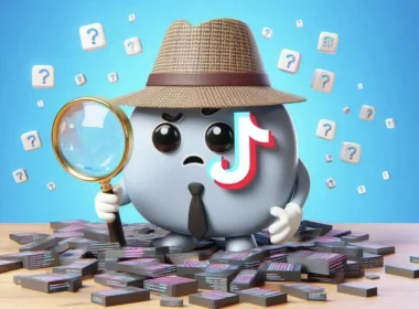 Tiktok Security Concern