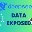 DeepSeek Data Exposed