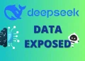 DeepSeek Data Exposed