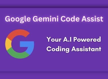 Google Gemini Code Assist