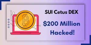 SUI Cetus DeX