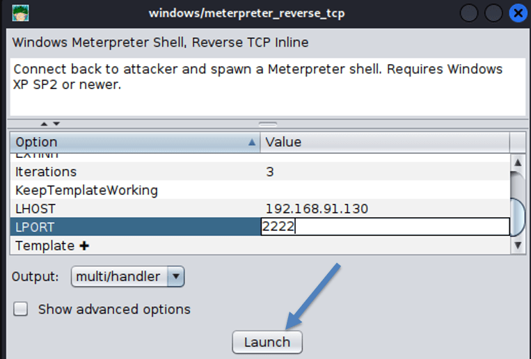 Fig. 10 : Launching the handler session.