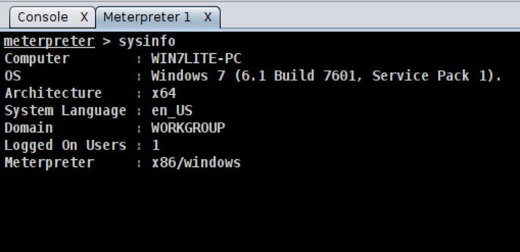 Fig. 13: Sysinfo Output
