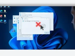 Windows 11 - Task Manager Bug
