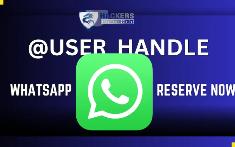 WhatsApp user feature