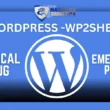 Wordpress wp2shell