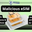 SIM Card Vulnerability